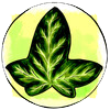 greenedera art logo elenazambelli